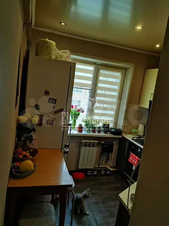 3-к. квартира, 50,8 м, 5/5 эт. - Фото 0