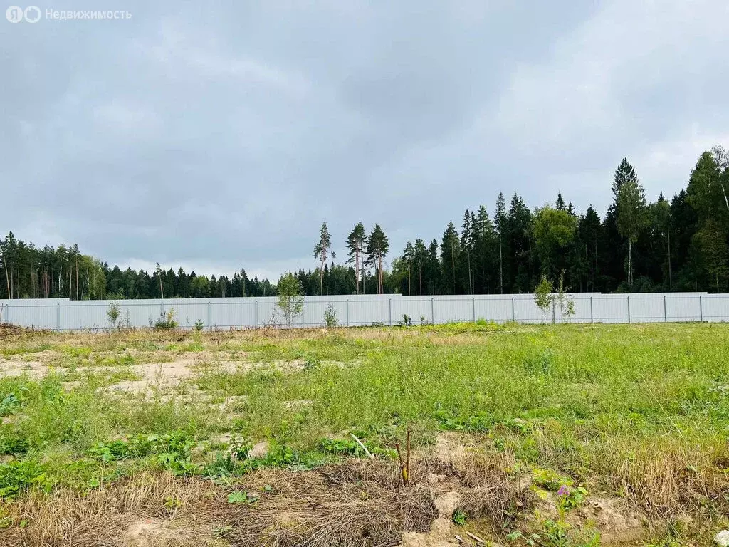 Участок в Московская область, городской округ Клин, КП Коськово, 48 ... - Фото 1