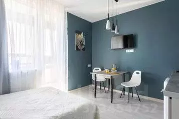 1-к кв. Санкт-Петербург Планерная ул., 97к2 (25.0 м) - Фото 0