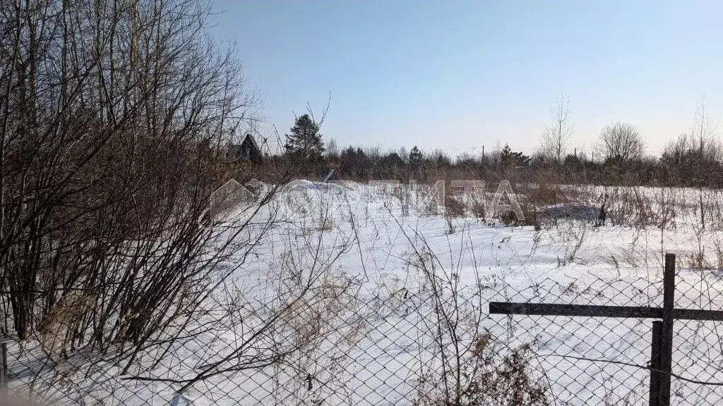 Участок в Тюменская область, Тюменский район, СО Надежда ТСН  (10.0 ... - Фото 1