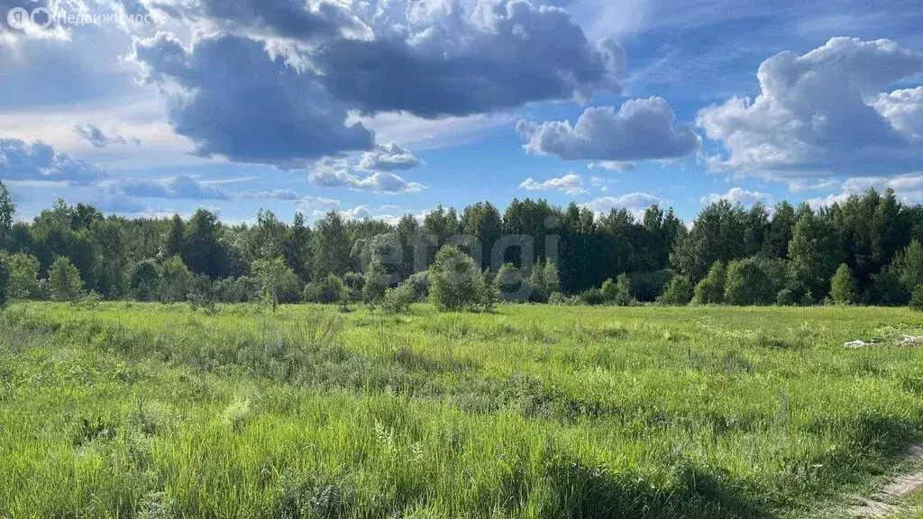Участок в Вологодский муниципальный округ, деревня Лучниково (16 м) - Фото 1