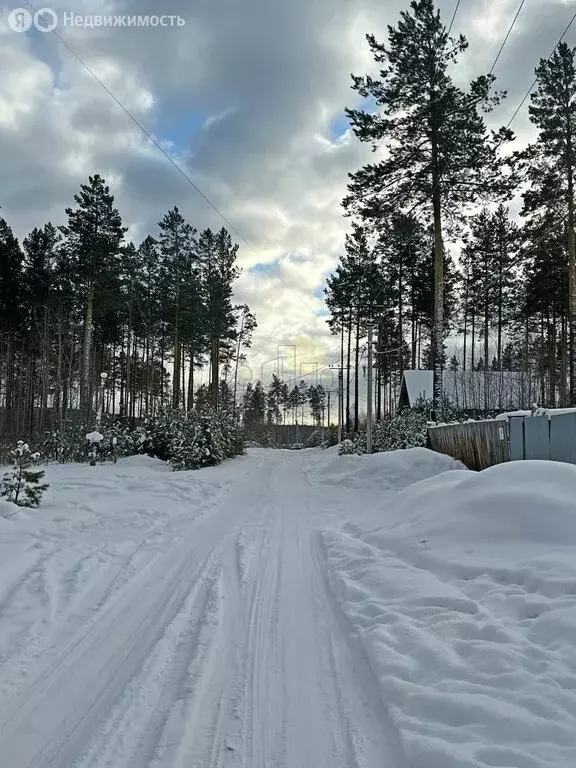 Участок в посёлок Плишкино, ДНТ Будь Здоров, 199 (10 м) - Фото 1