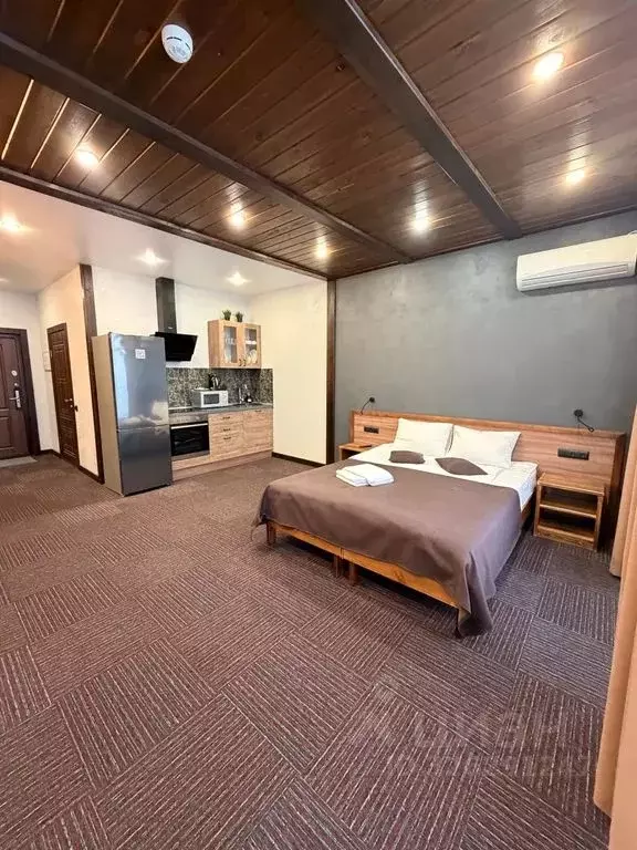 1-к кв. Челябинская область, Миасский городской округ, с. Сыростан ул. ... - Фото 1