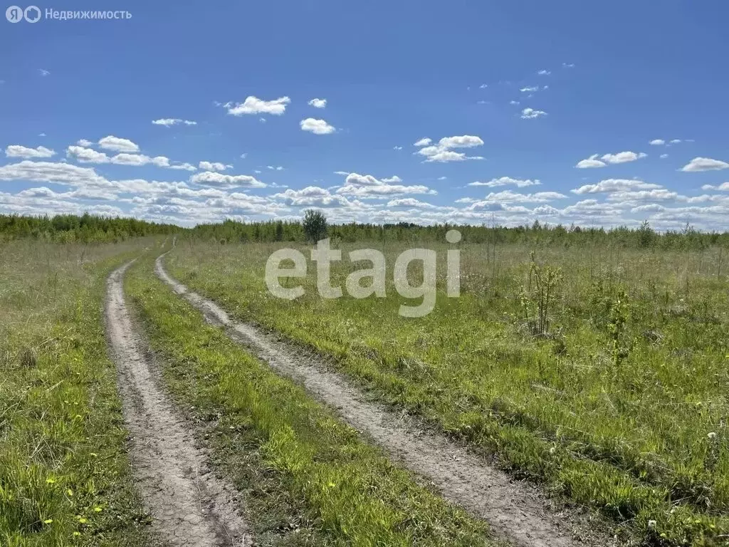 Участок в Красноярский край, Манско-Уярский муниципальный округ, ... - Фото 2