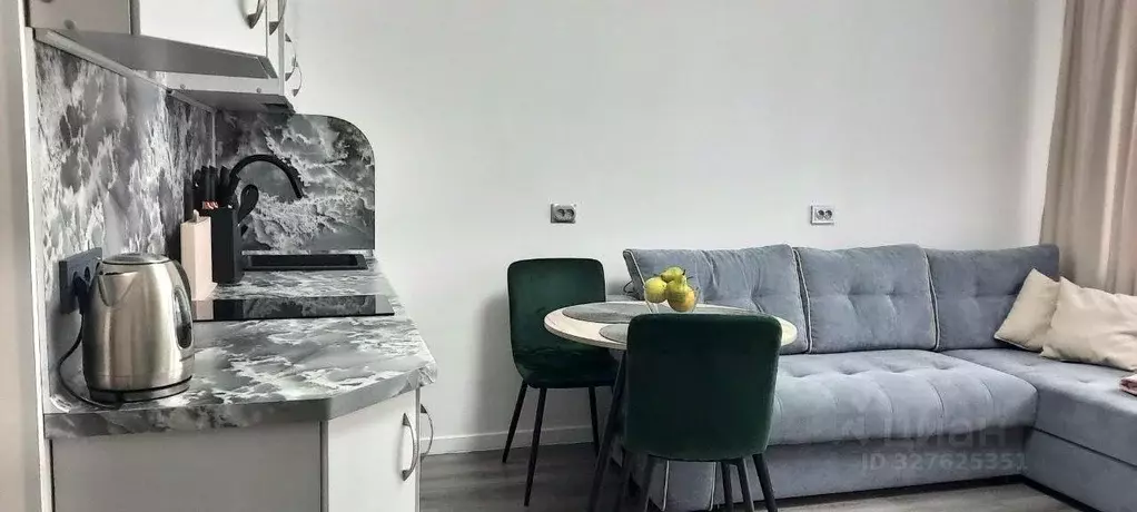 Студия Санкт-Петербург просп. Ветеранов, 212 (24.3 м) - Фото 1