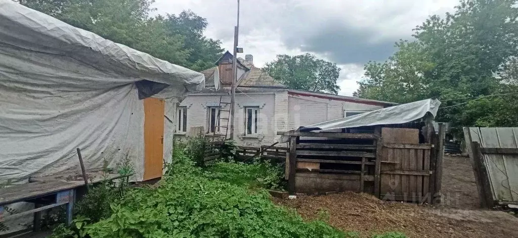 Дом в Белгородская область, Волоконовский район, с. Волчья ... - Фото 1