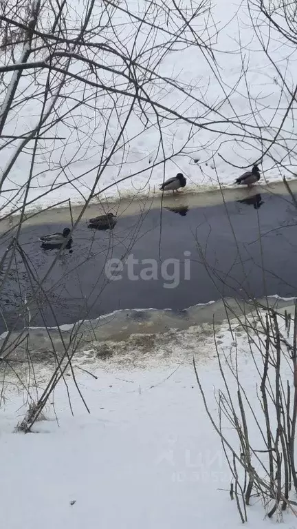 Участок в Новгородская область, Новгородский район, Ермолинское с/пос, ... - Фото 1