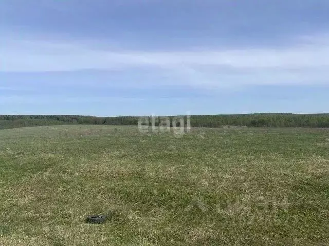 Участок в Смоленская область, Рославльский муниципальный округ, д. ... - Фото 0