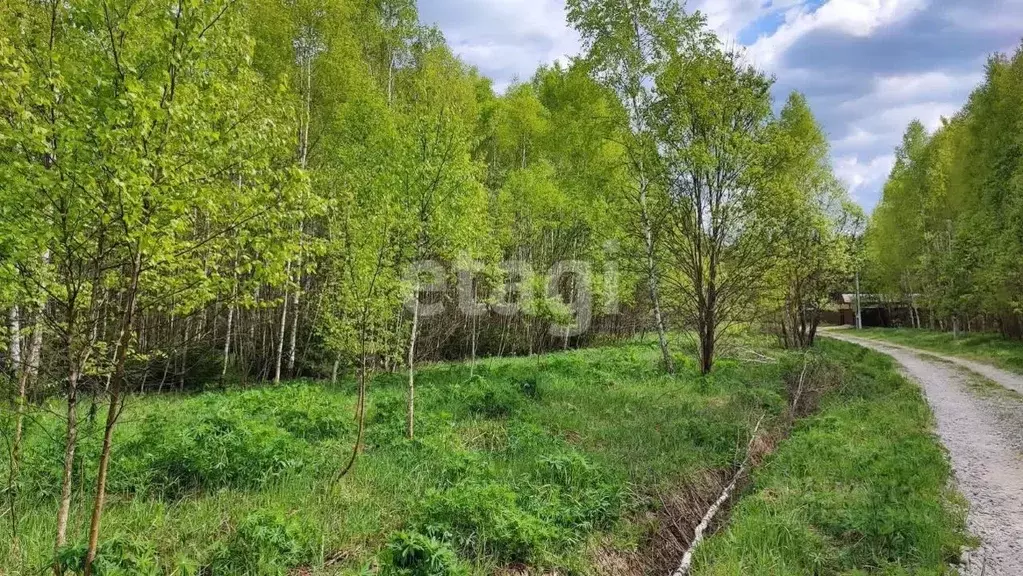 Участок в Калужская область, Малоярославецкий район, Юбилейный с/пос, ... - Фото 2