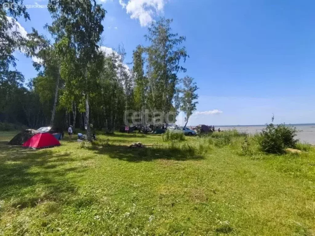 Участок в Быстровский сельсовет, посёлок Тула (21 м) - Фото 1