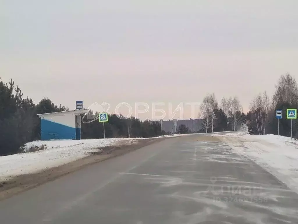 Участок в Тюменская область, Тюменский муниципальный округ, ... - Фото 2