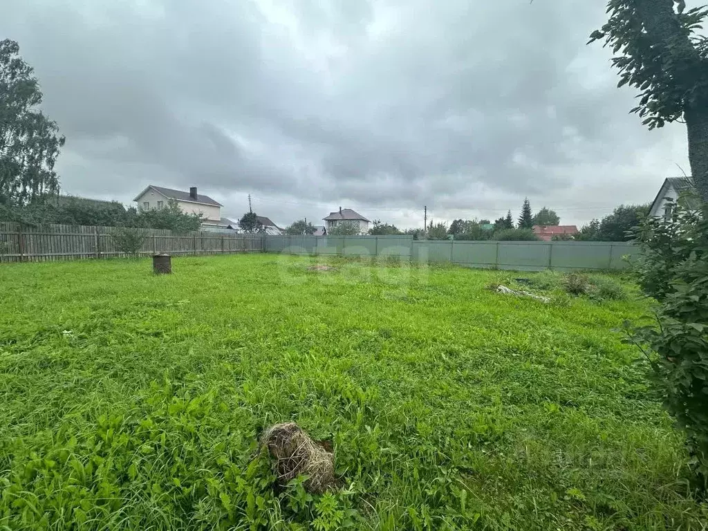 Участок в Костромская область, Красносельский район, Боровиковское ... - Фото 1