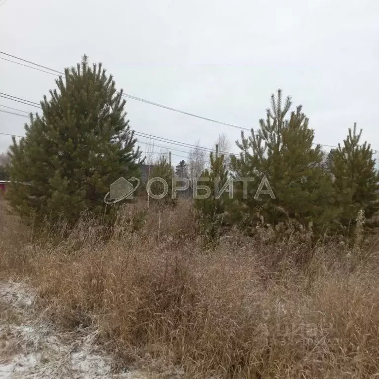 Участок в Тюменская область, Нижнетавдинский муниципальный округ, ... - Фото 2