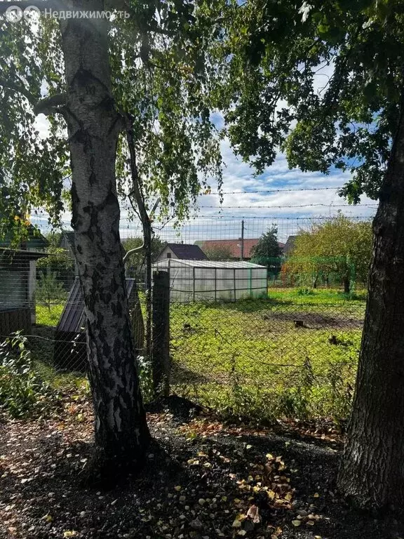 Участок в Калининград, улица Ивана Земнухова (8.55 м) - Фото 2