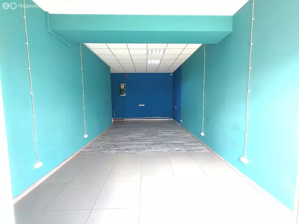 Торговая площадь (33 м) - Фото 2