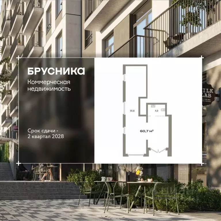 Помещение свободного назначения в Новосибирская область, Новосибирск ... - Фото 1
