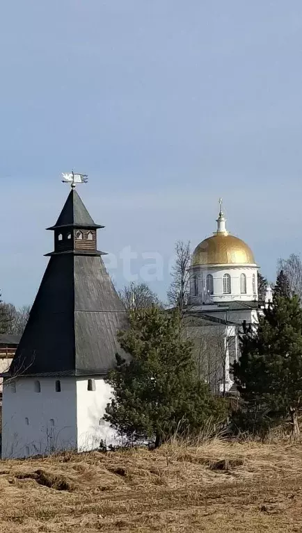 Торговая площадь в Псковская область, Печоры Комсомольская ул., 12 ... - Фото 1