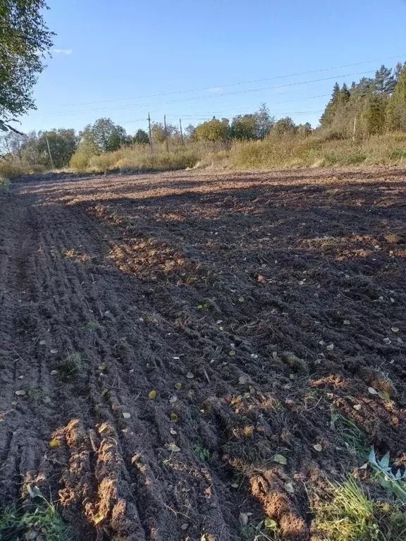 Участок, 18 сот., 0 - Фото 1