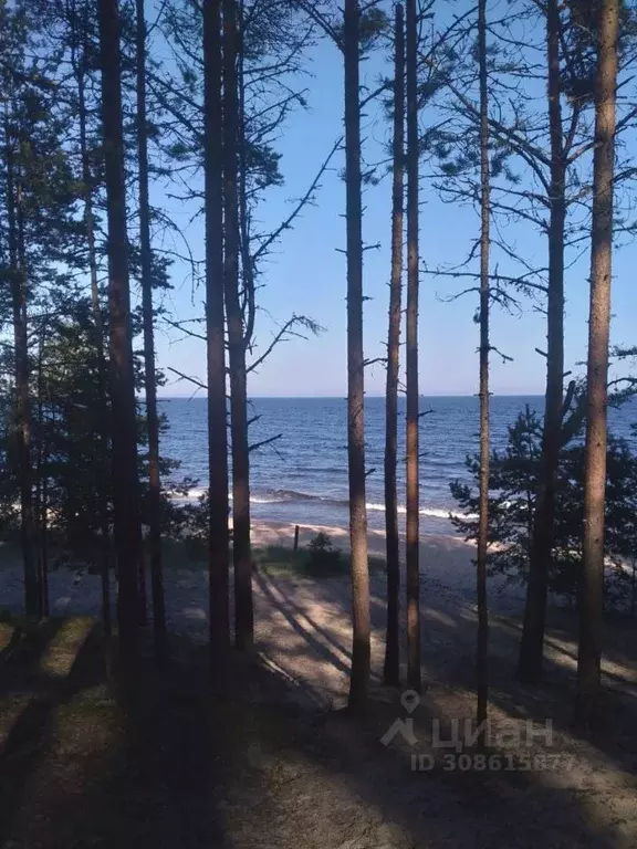 Участок в Ленинградская область, Приозерский район, Ларионовское ... - Фото 0