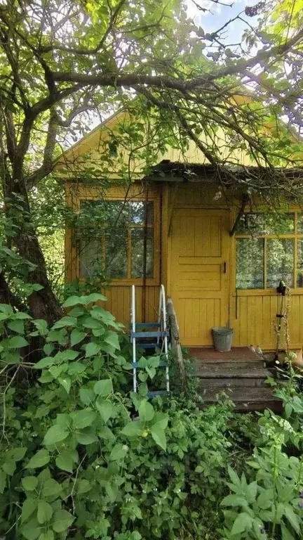 Участок в Московская область, Люберцы городской округ, с. Верхнее ... - Фото 1