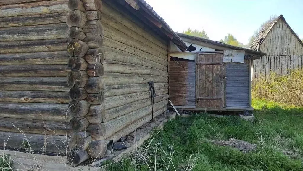 Дом в Псковская область, Дедовичский район, Вязьевская волость, д. ... - Фото 1
