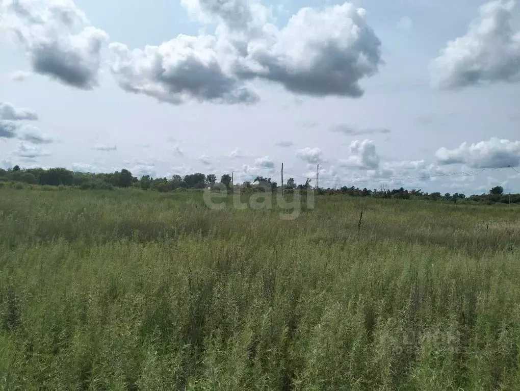 Участок в Амурская область, Тамбовский муниципальный округ, с. ... - Фото 2