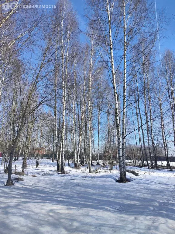 Участок в Московская область, Раменский муниципальный округ, ДНТ ... - Фото 1