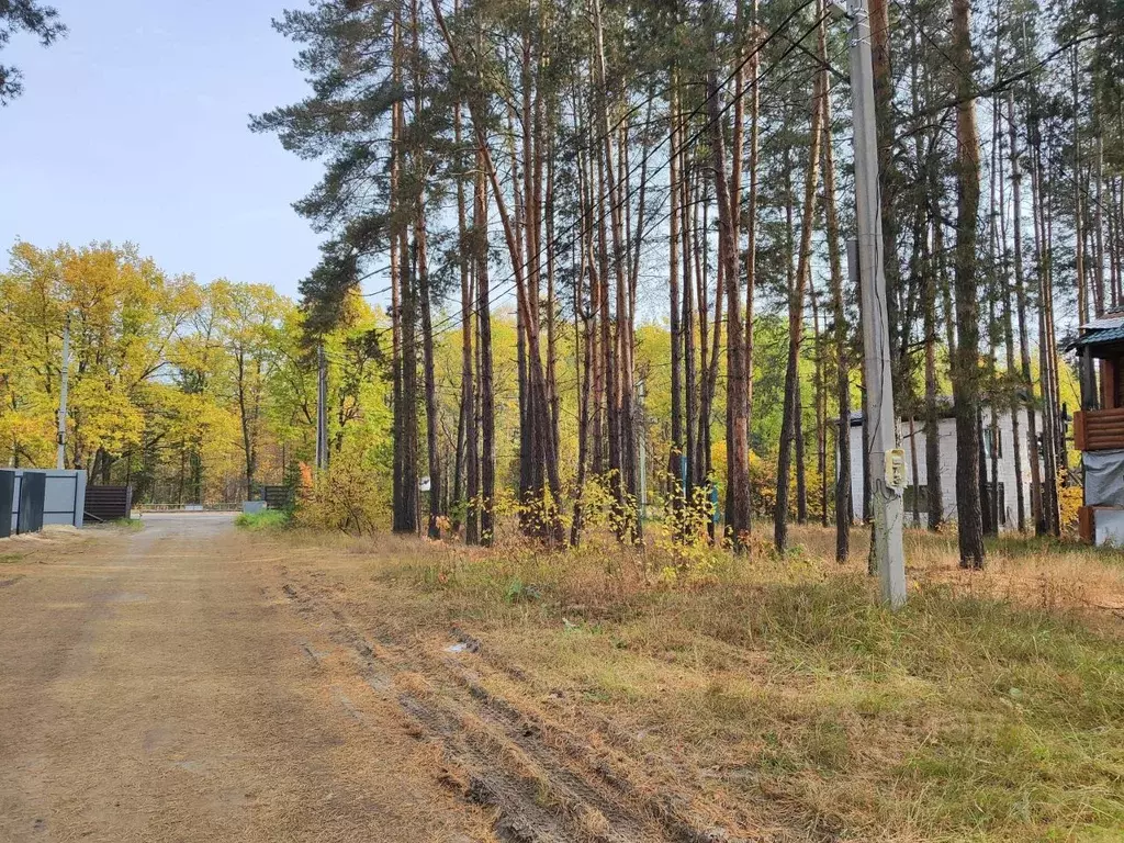 Участок в Воронежская область, Рамонский район, Айдаровское с/пос, с. ... - Фото 2