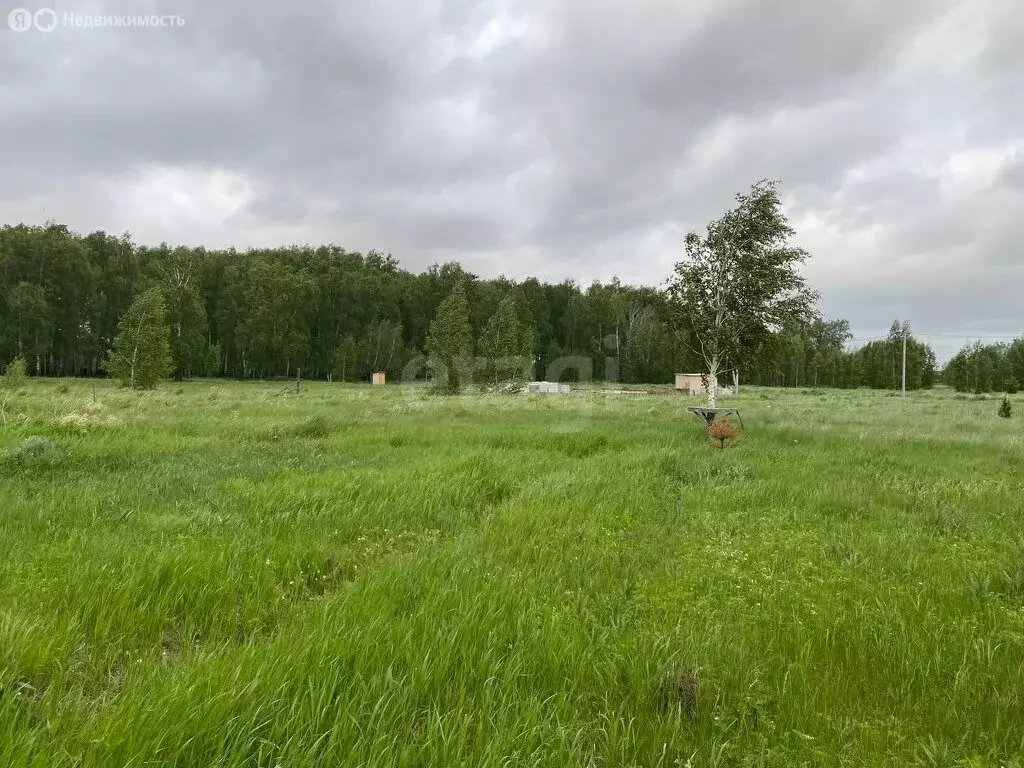 Участок в Курганская область, Кетовский муниципальный округ, деревня ... - Фото 1