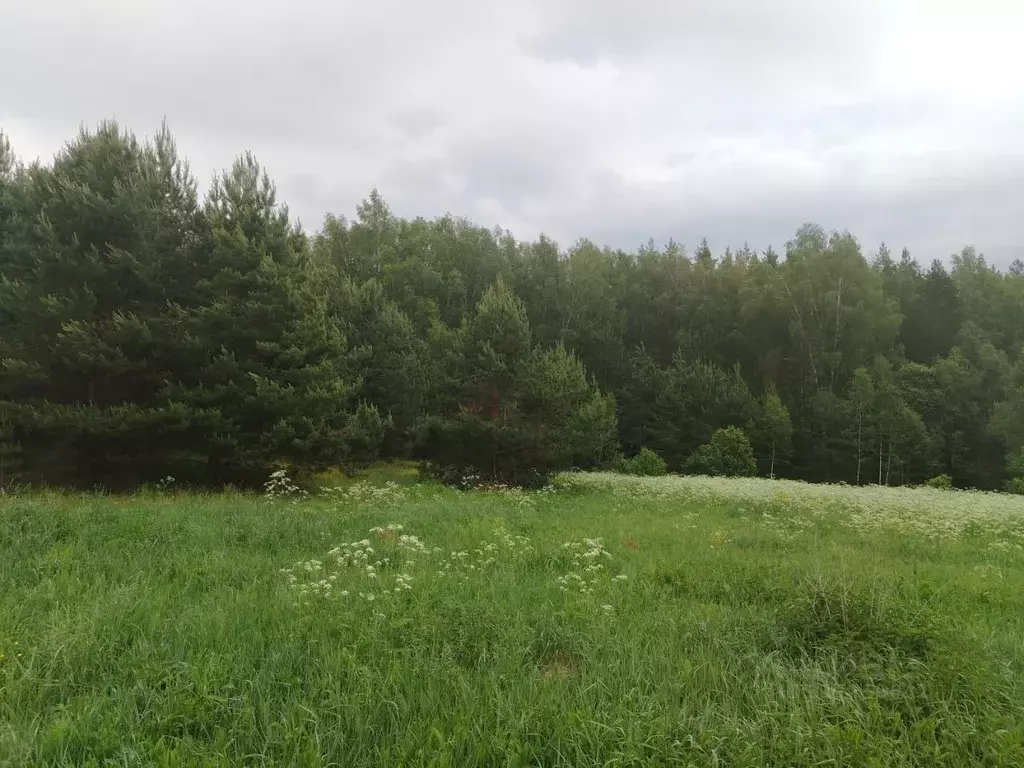 Участок в Нижегородская область, Богородский муниципальный округ, ... - Фото 0