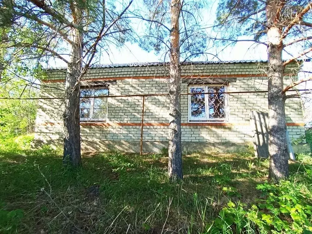 Дом в Саратовская область, Базарно-Карабулакский район, Алексеевское ... - Фото 1