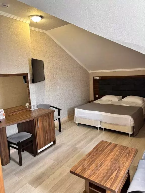 Комната Краснодарский край, Сочи Виноградная ул., 244А - Фото 1