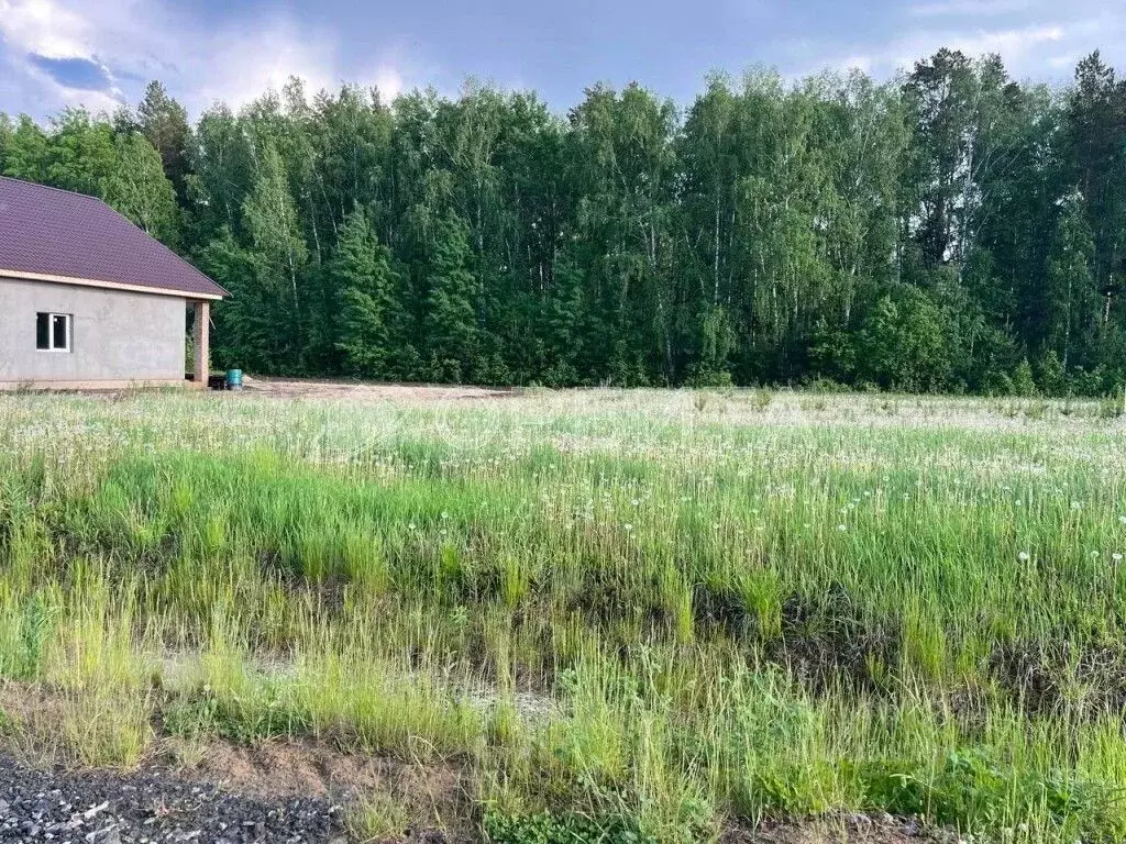 Участок в Тюменская область, Тюменский район, д. Ушакова, Елки кп ул. ... - Фото 1