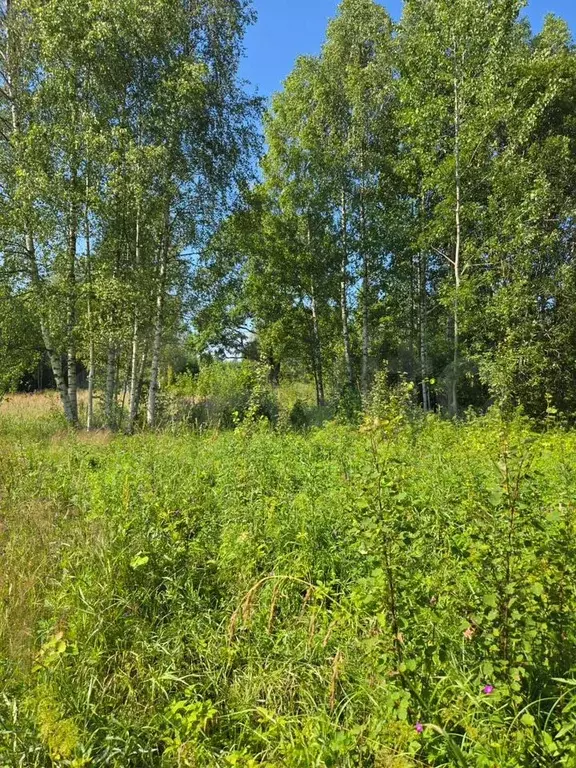 Участок 15 сот. (ИЖС) - Фото 1