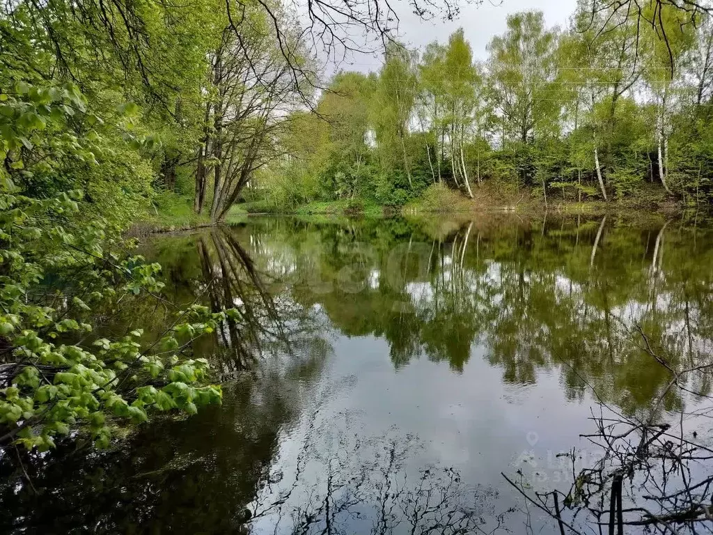 Участок в Смоленская область, Смоленск Медик СНТ, 29 (13.0 сот.) - Фото 1