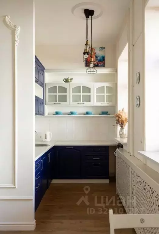 1-к кв. Санкт-Петербург Вознесенский просп., 41 (25.0 м) - Фото 2