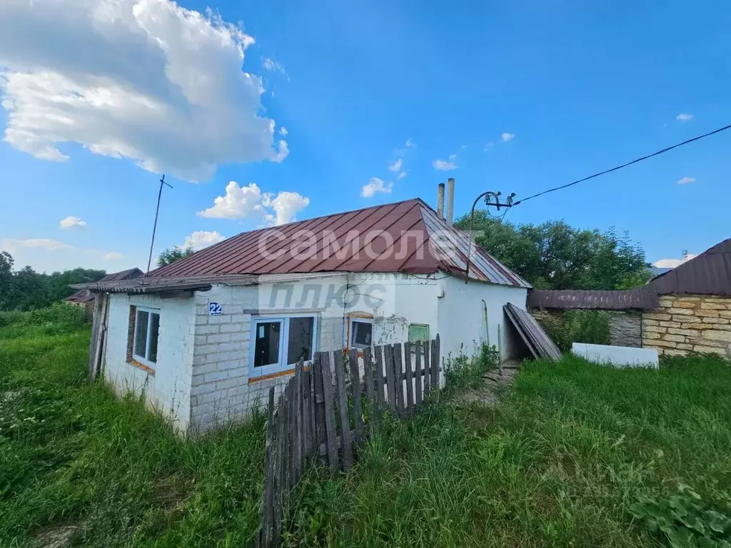 Дом в Липецкая область, Задонский муниципальный округ, с. Алисово ул. ... - Фото 1