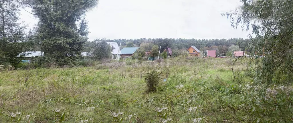 Участок в Новосибирский район, Кудряшовский сельсовет, посёлок ... - Фото 1