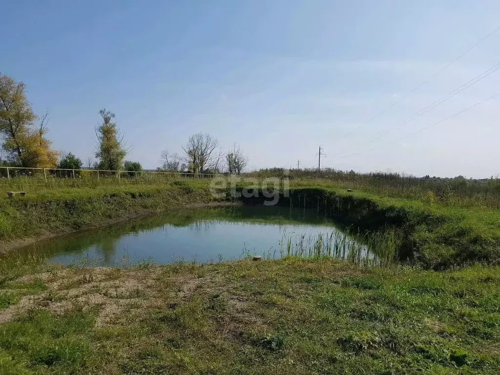 Участок в Новосибирская область, Колыванский район, Союз силовых ... - Фото 1