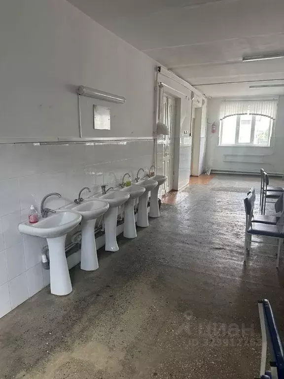 Помещение свободного назначения в Дагестан, Махачкала ул. Дахадаева, ... - Фото 1