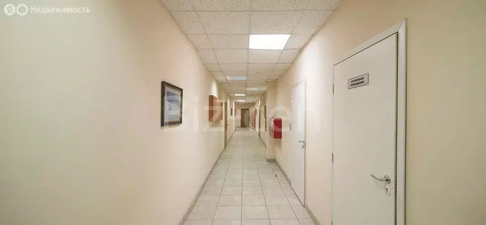 Офис (530.1 м) - Фото 2