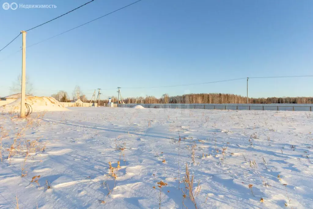 Участок в Тюменский район, село Кулига (6.36 м) - Фото 1