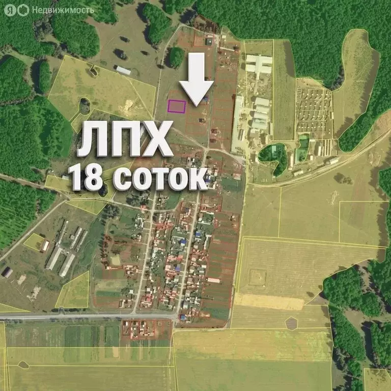 Участок в Челябинская область, Аргаяшский муниципальный округ, посёлок ... - Фото 1