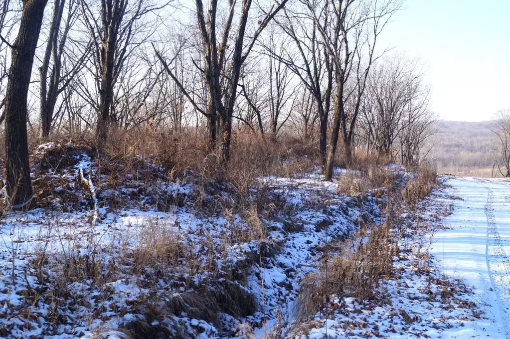 Участок в Приморский край, Надеждинский район, пос. Западный  (9.96 ... - Фото 1