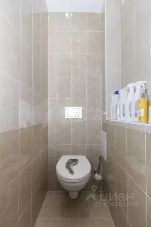 2-к кв. Тюменская область, Тюмень Антипино мкр, ул. Беловежская, 15 ... - Фото 1