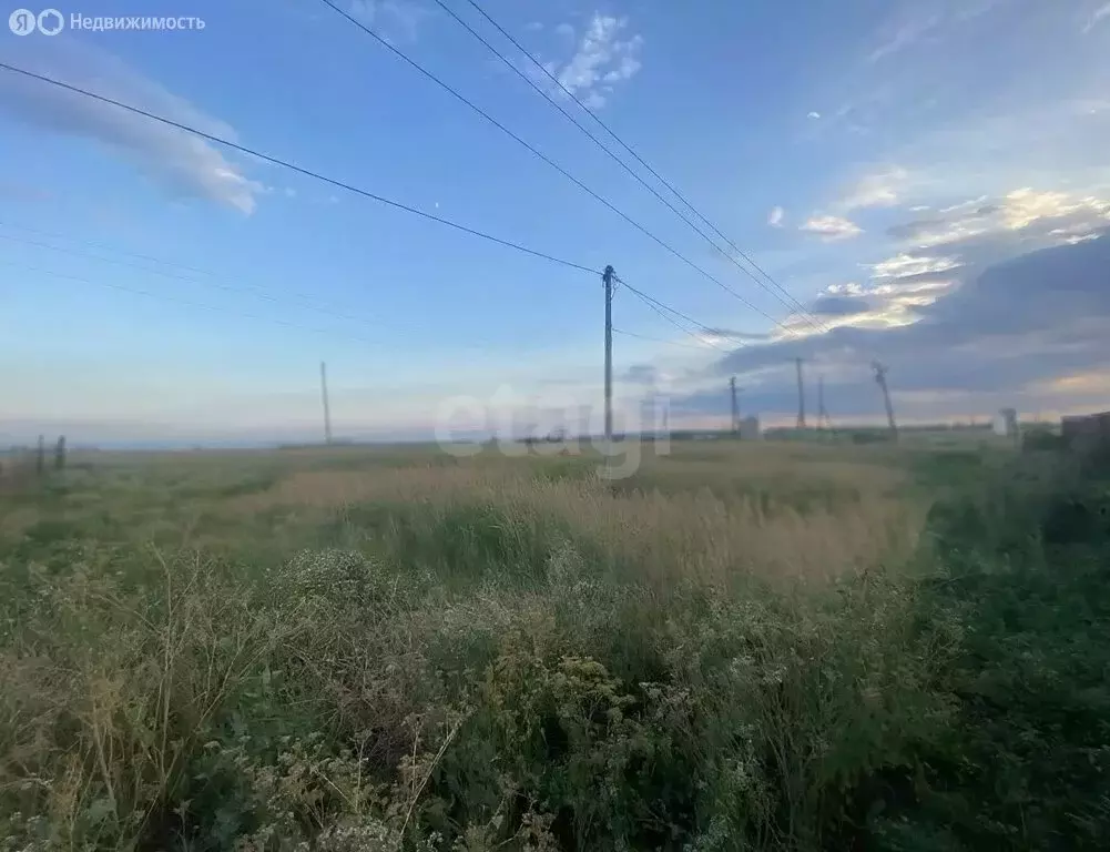 Участок в Приморский, товарищество собственников недвижимости ... - Фото 2