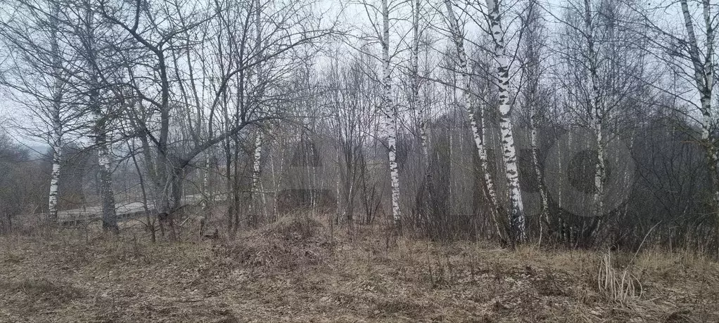 Участок 15 сот. (ИЖС) - Фото 1