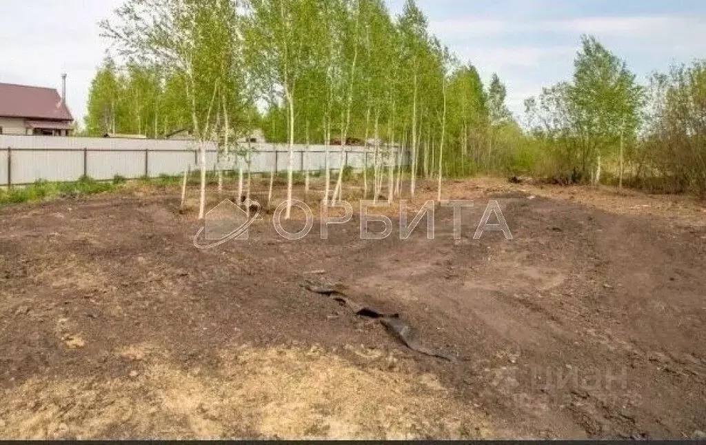 Участок в Тюменская область, Тюмень Садовое товарищество Липовый ... - Фото 0