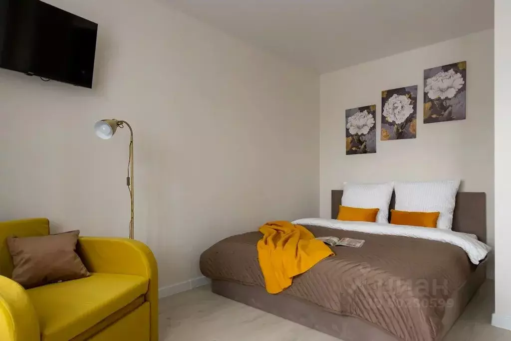 1-к кв. Санкт-Петербург Заневский просп., 42 (24.0 м) - Фото 1