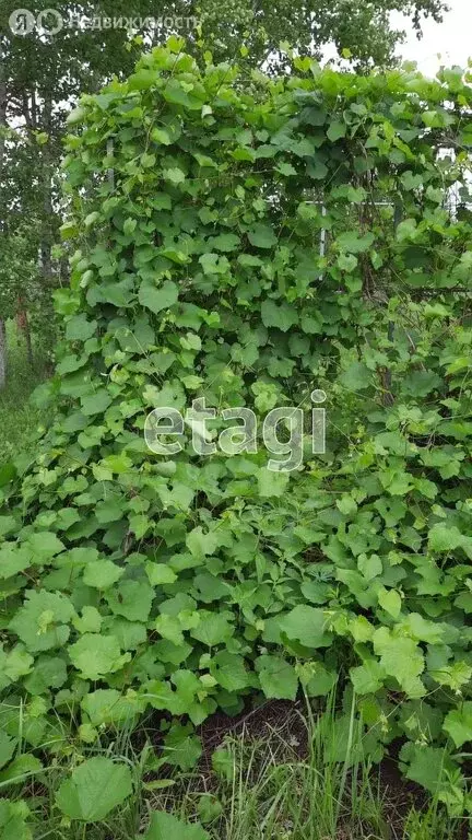 Участок в Ясногорский район, сельское поселение Ревякинское, деревня ... - Фото 2